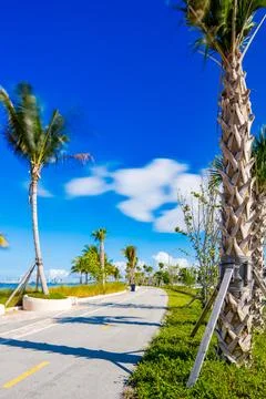Vertical stock image Key Biscayne Bridge Beach Miami 2025. Long exposure pa.. Stock Photos