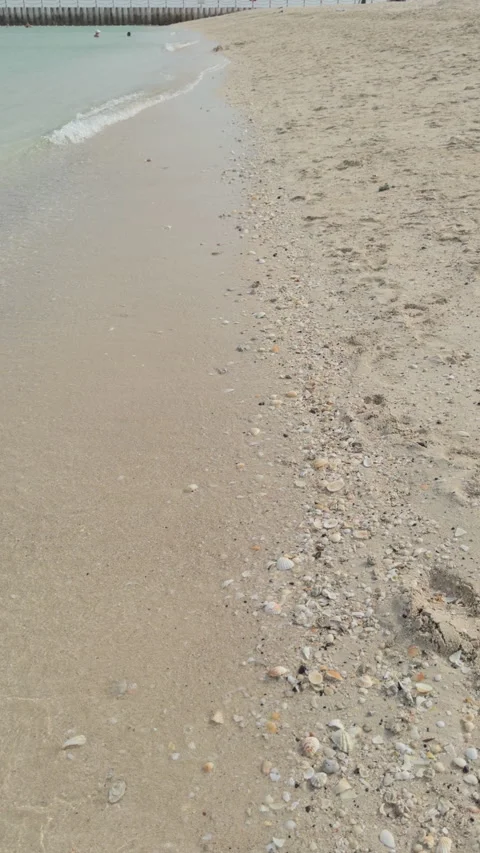 Vertical Stock Video of Seashells on Shoreline with Waves Crashing Stock Footage 283368627