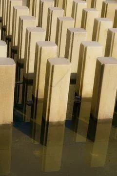 Vertical stone pillars reflected in shallow water under warm sunlight creat.. Stockfoto's