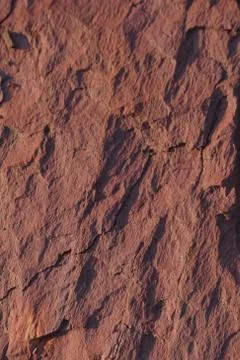 Vertical stone texture. Abstract dark pink pattern. Stock Photos