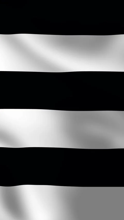 Vertical straight pride flag featuring simple design white and black outline Vidéo 308665362