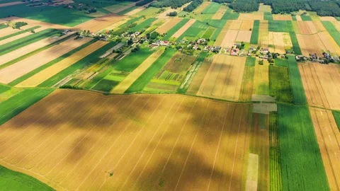 Vertical stripes of agricultural parcels of different crops. Aerial view shoo Stock Footage 147409004