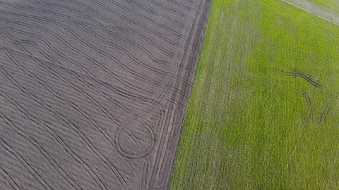Vertical stripes of agricultural parcels of different crops. Aerial view shoot 스톡 동영상 151848102