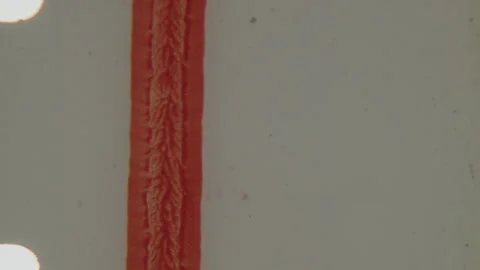 Vertical Stripes And Red Text On 8mm Film Pre-Roll Stock Footage 309704410