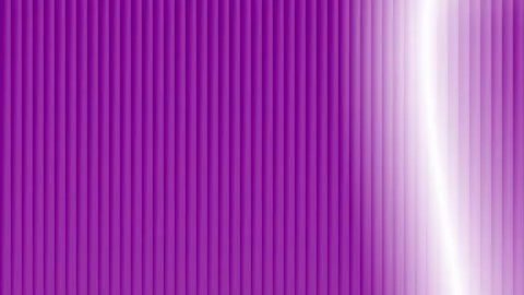 Vertical Stripes Light Transition Motion Graphics Video Overlay Stock Footage 344834931