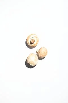 Vertical studio shot. Edible raw mushrooms champignons, isolated on a white b Stock Photos