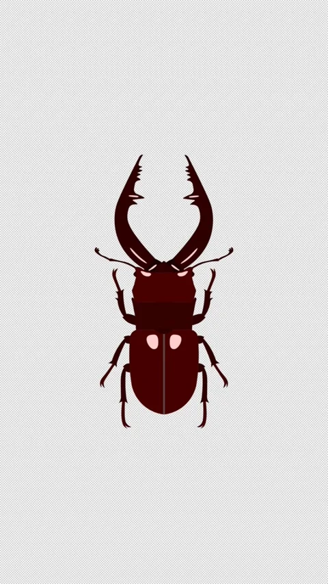 Vertical Stylized 2D Japanese Stag Beetle Action 4K Alpha Stock-Footage 339374595