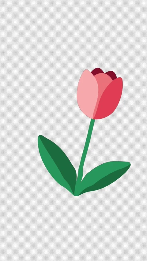 Vertical Stylized 2D Pink Tulip Flower Swaying 4K Loop Alpha Stock Footage 339167243