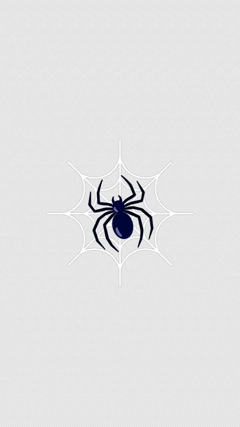 Vertical Stylized 2D Spider On Web Spooky 4K Loop Alpha Stock-Footage 339374197