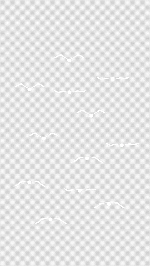 Vertical Stylized 2D White Bird Flock Flying 4K Loop Alpha Stock-Footage 338167494