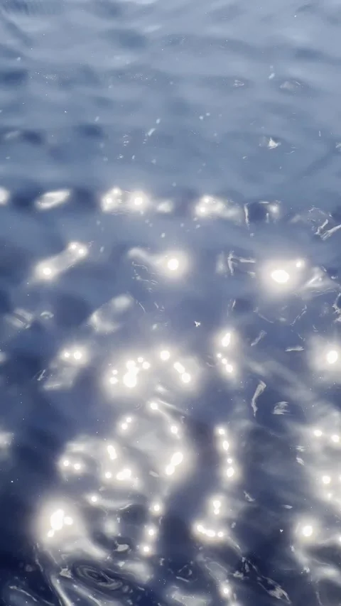 Vertical, sun sparkling on water Video stock 241410307