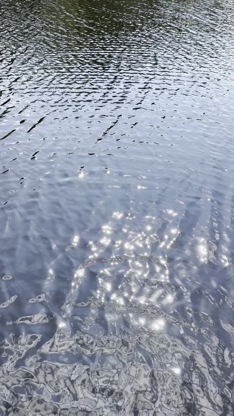 Vertical, sun sparkling on water Stock Footage 241410335