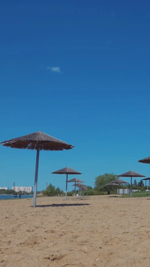 Vertical. Sun umbrellas dotted along a deserted sandy beach. Colorful parasols l Stock Footage 301723371