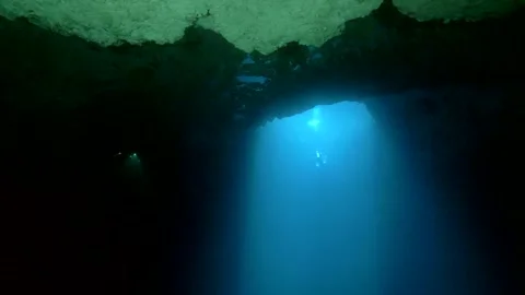 Vertical sunbeam below a limestone cenote opening Vídeo Stock 341395577