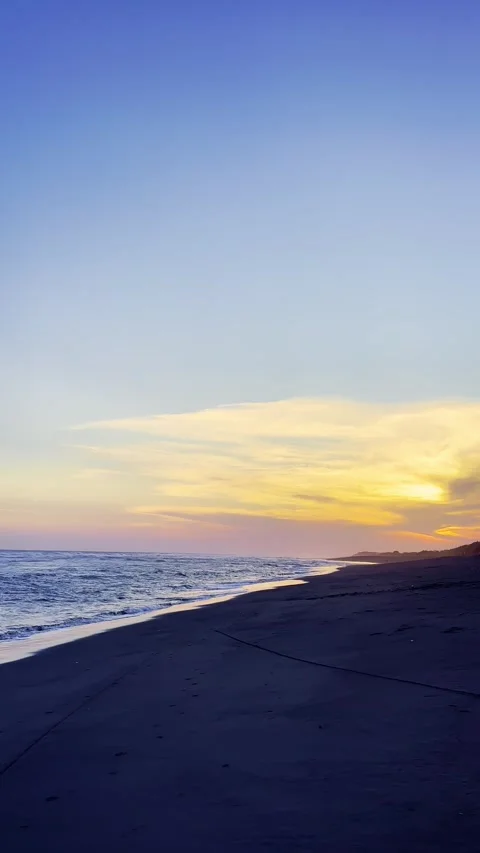 Vertical Sunset Beach Shoreline Stock Footage 337533648