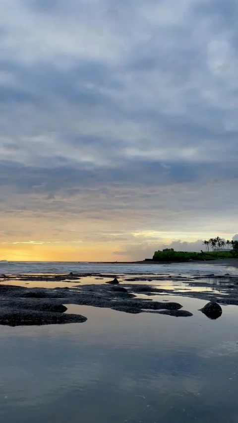 Vertical Sunset Coast with Reflective Tidal Pools and Palm Trees in Bali Stock Footage 337270275