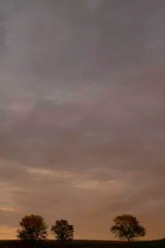 Vertical sunset in country. Stock Photos