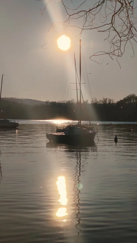 Vertical sunset landscape over calm lake with moored boats and tree branches. Stock Footage 329259221