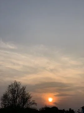 Vertical Sunset with Layered Clouds and Tree Silhouettes in Jakarta Stock Photos