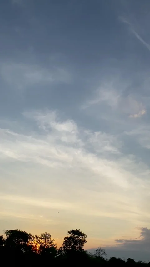 Vertical Sunset Video: Gradient Sky &amp; Silhouetted Trees, Ideal for Nature Design Stock Footage 288653179