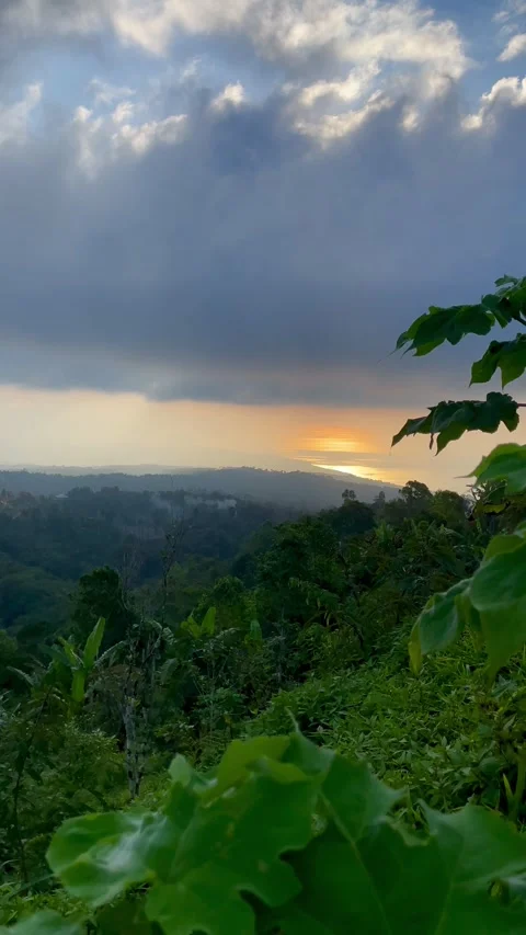 Vertical Sunset View Over Distant Coast and Green Jungle in Bali Video stock 341808813