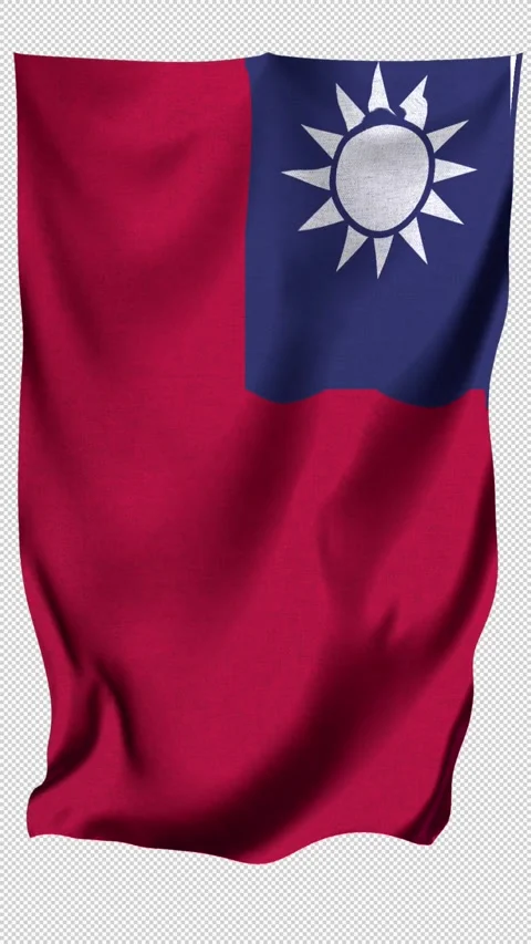 Vertical  Taiwan Flag Stock Footage 340399555