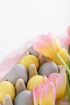 Vertical tender spring Easter composition of paschal eggs pink tulips on whit Stock Photos
