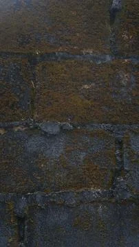 Vertical Texture of Black Concrete Block Wall with Moss Stock Photos