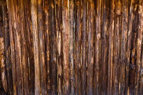 Vertical texture of thin rough-hewn trees next to each other Stock Photos