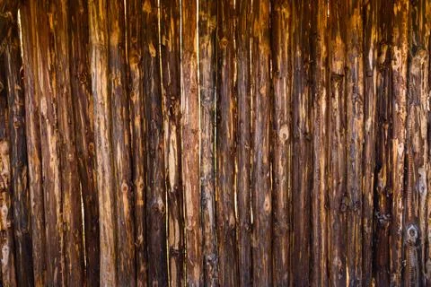 Vertical texture of thin rough-hewn trees next to each other Stock Photos
