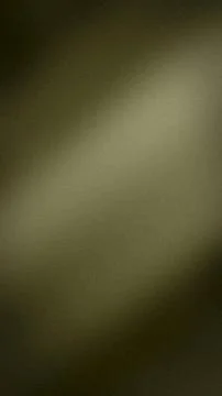 Vertical textured gradient background in olive green beige and black with g.. Stock Photos