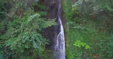 Vertical thin waterfall among trees Stock-Footage 83081448