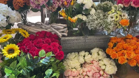 Vertical tilt of different kinds of ornamental flowers in a flower shop Stock Footage 202595983