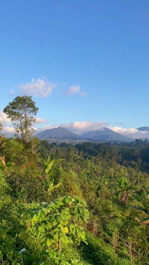 Vertical Tilt Up POV Walking on Grass to Mountain Landscape in Bali Video stock 341809137
