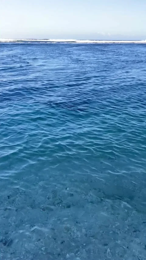Vertical Tilt Up Reveal of Clear Blue Tropical Ocean Water in Bali Stock Footage 337336427