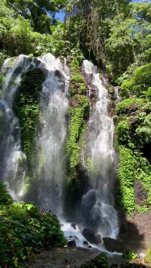 Vertical Tilt Up Shot of Magnificent Multi Tiered Jungle Waterfall in Bali Stock Footage 339451135