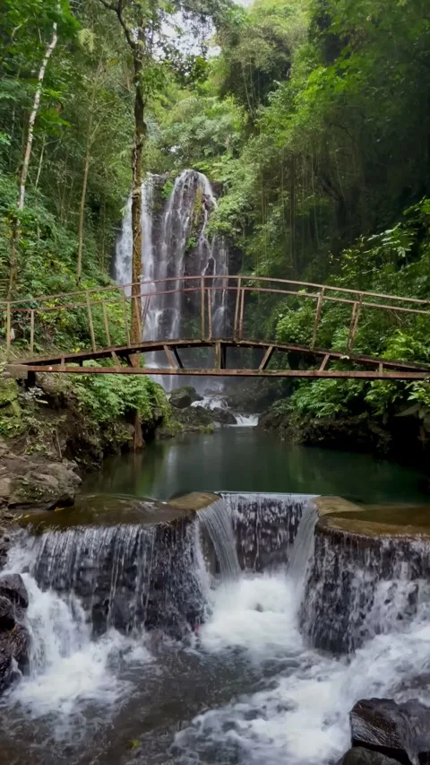 Vertical Tilt Up Shot Of Tropical Waterfall And Bridge In Bali Vidéo 342194867