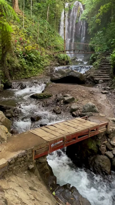 Vertical Tilt Up View Of Tropical Waterfall And Wooden Bridge In Bali 動画素材 342194934