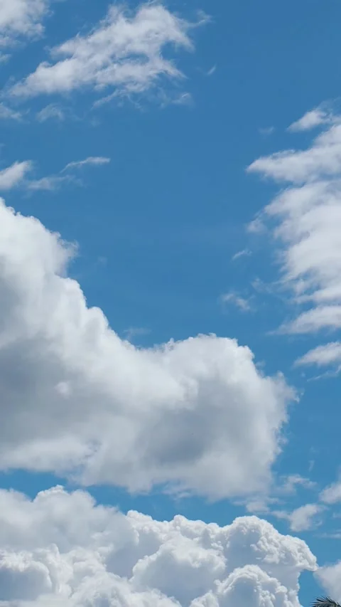 Vertical time-lapse of beautiful white clouds moving across bright blue sky. Stock Footage 346276755