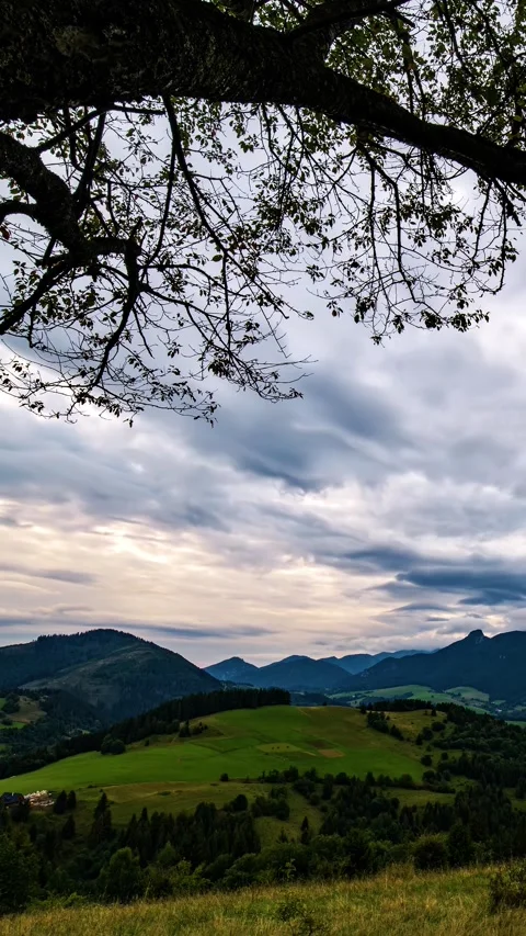 Vertical Time-Lapse of Clouds Moving Over Green Hills at Autumn Sunset, View Stock Footage 313904999