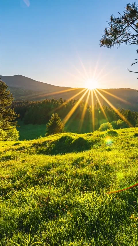 Vertical Time lapse of colorful sunset in green nature 스톡 동영상 295345472