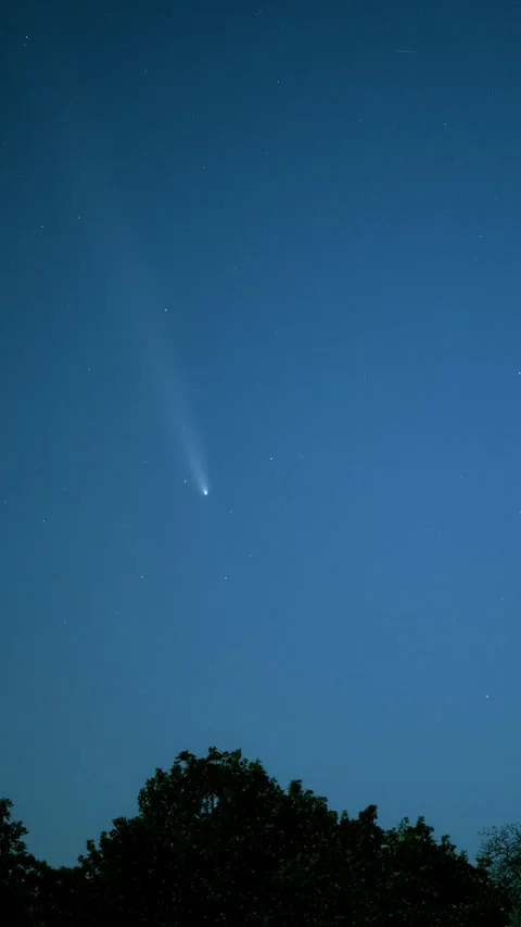 Vertical time lapse of comet Tsuchinshan-Atlas with its long tail over treeline  Stock Footage 289553984