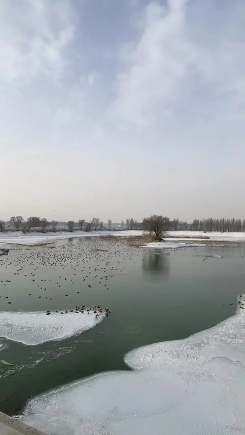 Vertical Time-lapse of Flowing Lake Water and Moving Clouds in Blue Sky Scen Video stock 326183567