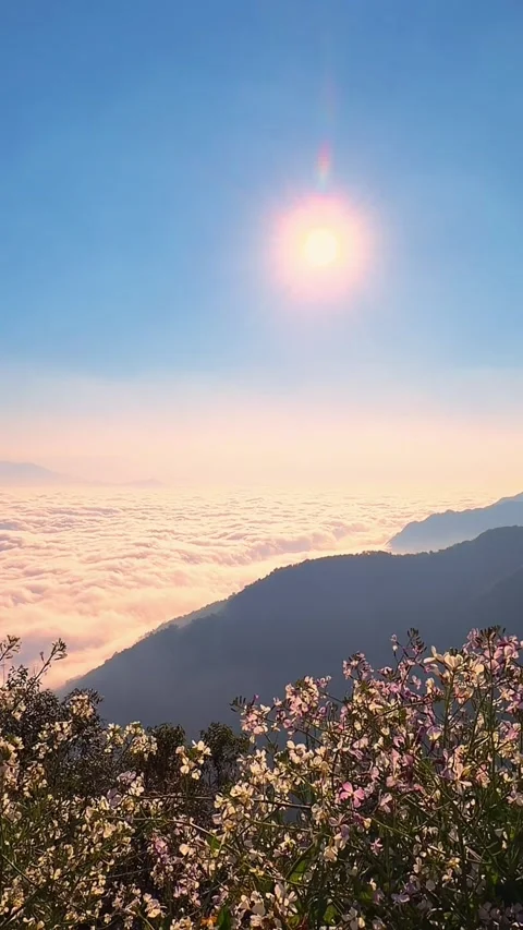 Vertical Time-lapse of Flowing Sea of Clouds Over Mountains Video stock 327957172