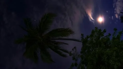 Vertical time-lapse of the night sky with a full moon and moving clouds. Vídeo Stock 160020395