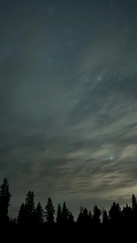 Vertical time lapse of star filled sky with moving clouds and a few meteors Stock Footage 292303596