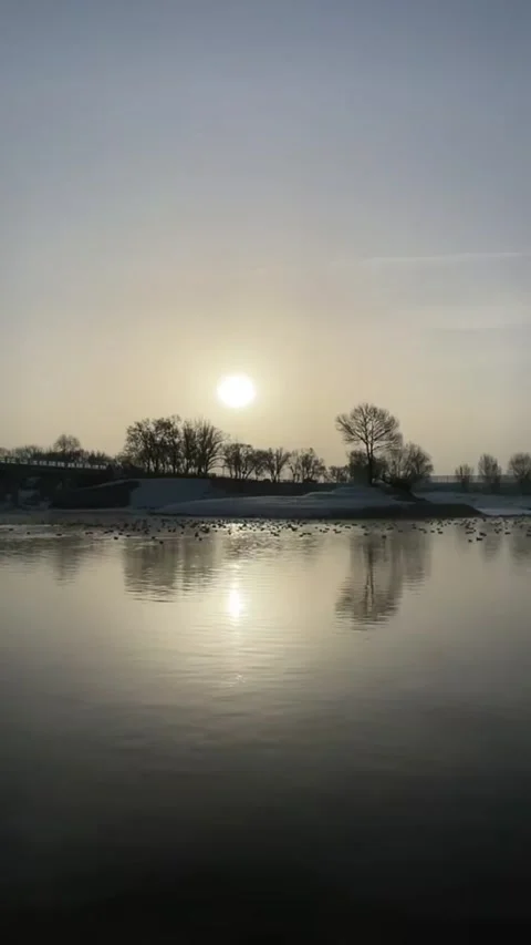 Vertical Time Lapse Winter Sunset River with Swimming Birds and Bridge Silho Stock Footage 327004557