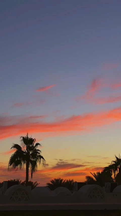 Vertical Timelaps of Sunset over tropical resort with palm trees Stock Footage 304368620