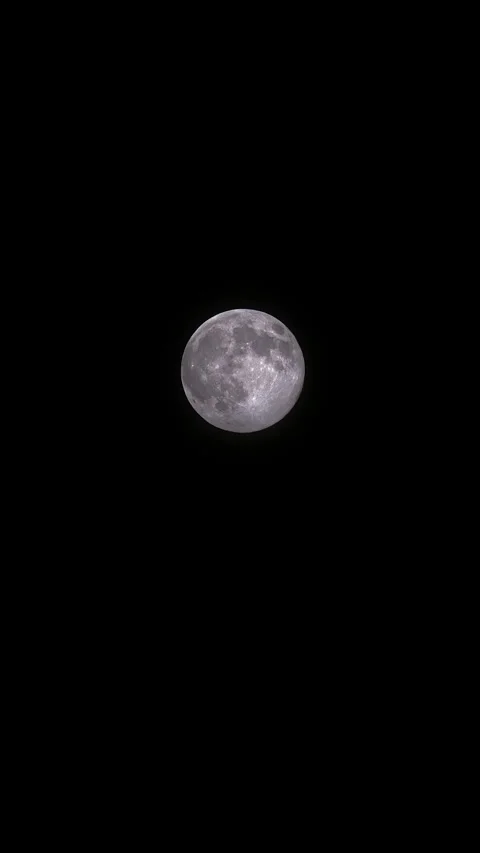 Vertical timelapse up close of full moon moving across the sky Stock Footage 321313084