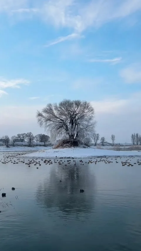Vertical timelapse of clouds moving over massive rocky mountain peak with wo Video stock 327594466